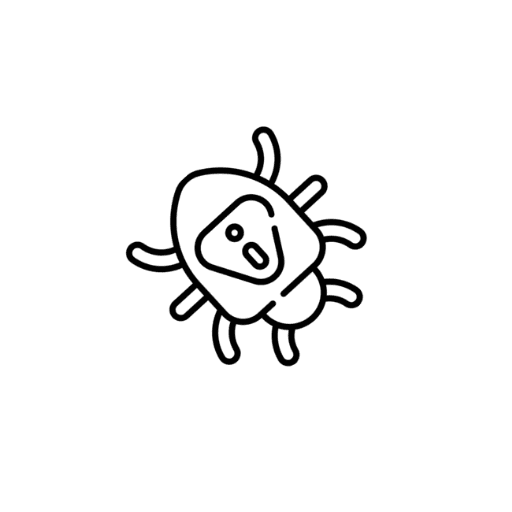 Identified 80+ Bugs